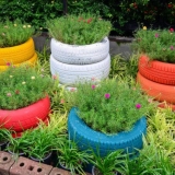 Kako i kako slikati gume za cvjetnjak: zanimljive dizajnerske ideje...